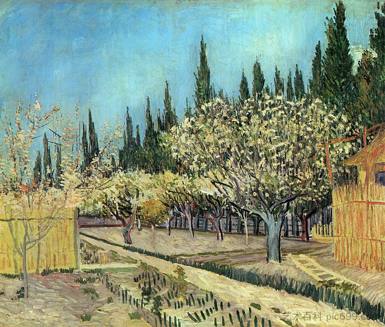 开花的果园，与柏树接壤 Orchard in Blossom, Bordered by Cypresses (1888; Arles,Bouches-du-Rhône,France  )，文森特·梵高