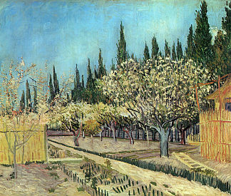 开花的果园，与柏树接壤 Orchard in Blossom, Bordered by Cypresses (1888; Arles,Bouches-du-Rhône,France                     )，文森特·梵高