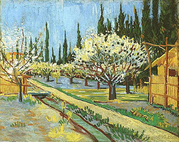 开花的果园,与柏树接壤 Orchard in Blossom, Bordered by Cypresses (1888; Arles,Bouches-du-Rhône,France ),文森特·梵高
