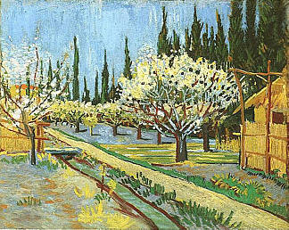 开花的果园，与柏树接壤 Orchard in Blossom, Bordered by Cypresses (1888; Arles,Bouches-du-Rhône,France                     )，文森特·梵高