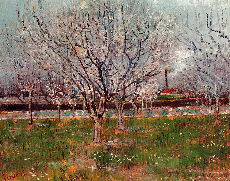 开花果园（梅树） Orchard in Blossom (Plum Trees) (1888; Arles,Bouches-du-Rhône,France  )，文森特·梵高