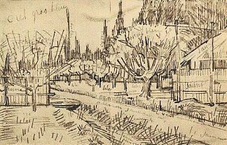 被柏树环绕的果园 Orchard Surrounded by Cypresses (1888; Arles,Bouches-du-Rhône,France                     )，文森特·梵高