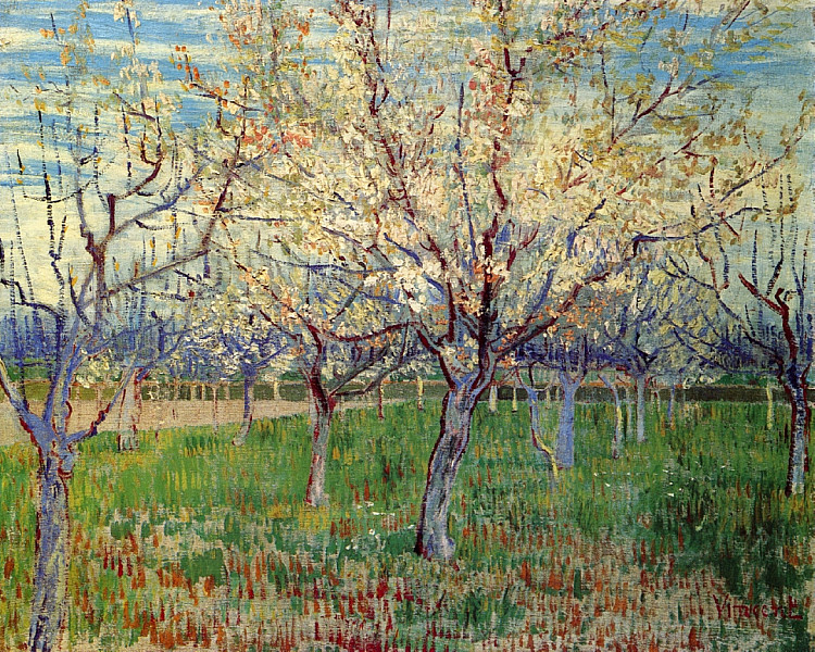 果园与盛开的杏树 Orchard with Blossoming Apricot Trees (1888; Arles,Bouches-du-Rhône,France  )，文森特·梵高