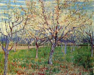 果园与盛开的杏树 Orchard with Blossoming Apricot Trees (1888; Arles,Bouches-du-Rhône,France                     )，文森特·梵高