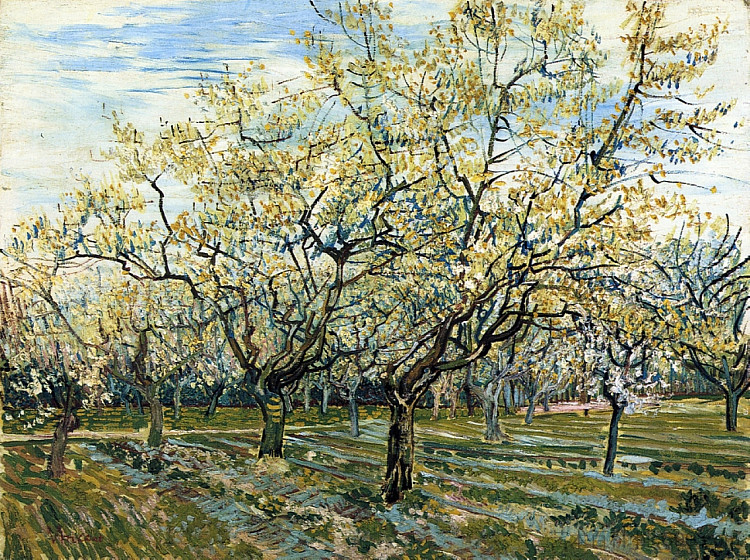果园与盛开的梅树 Orchard with Blossoming Plum Trees (1888; Arles,Bouches-du-Rhône,France  )，文森特·梵高