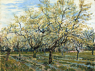 果园与盛开的梅树 Orchard with Blossoming Plum Trees (1888; Arles,Bouches-du-Rhône,France                     )，文森特·梵高