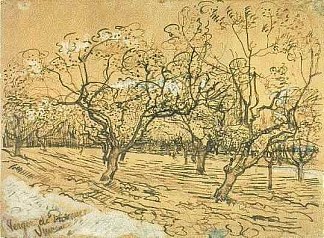 果园与盛开的梅树（白色果园） Orchard with Blossoming Plum Trees (The White Orchard) (1888; Arles,Bouches-du-Rhône,France                     )，文森特·梵高