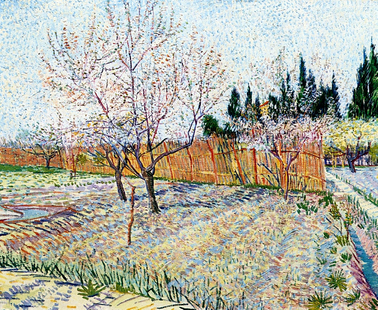 果园与开花的桃树 Orchard with Peach Trees in Blossom (1888; Arles,Bouches-du-Rhône,France  )，文森特·梵高