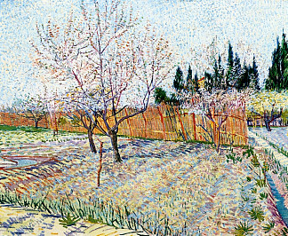 果园与开花的桃树 Orchard with Peach Trees in Blossom (1888; Arles,Bouches-du-Rhône,France                     )，文森特·梵高