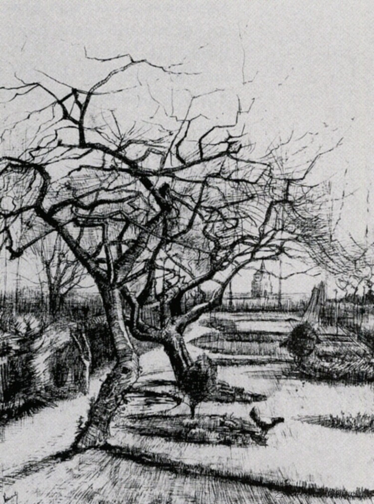 因为牧师的花园 Parsonage Garden (1884; Nunen / Nuenen,Netherlands  )，文森特·梵高