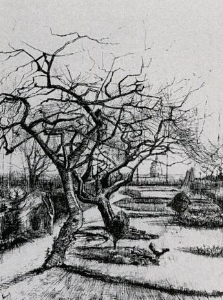因为牧师的花园 Parsonage Garden (1884; Nunen / Nuenen,Netherlands                     )，文森特·梵高