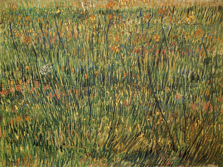 盛开的牧场 Pasture in Bloom (1887; Paris,France  )，文森特·梵高