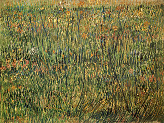 盛开的牧场 Pasture in Bloom (1887; Paris,France                     )，文森特·梵高