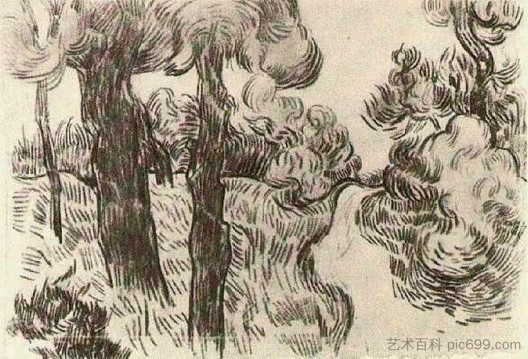 松树之间的小径 Path between Pine Trees (1889; Saint-rémy-de-provence,France ),文森特·梵高
