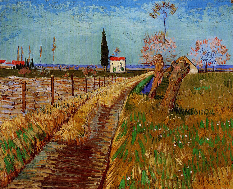 穿过柳树的田野 Path Through a Field with Willows (1888; Arles,Bouches-du-Rhône,France  )，文森特·梵高