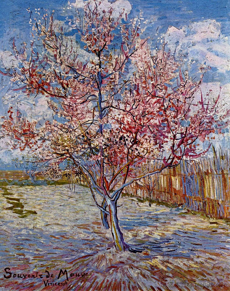 盛开的桃树(纪念淡紫色) Peach Tree in Bloom (in memory of Mauve) (1888; Arles,Bouches-du-Rhône,France ),文森特·梵高