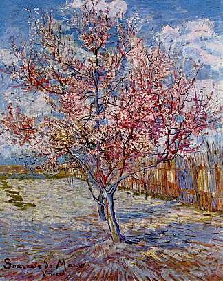 盛开的桃树（纪念淡紫色） Peach Tree in Bloom (in memory of Mauve) (1888; Arles,Bouches-du-Rhône,France                     )，文森特·梵高