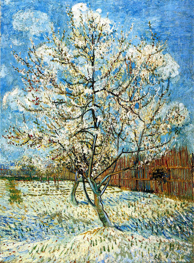 盛开的桃树 Peach Trees in Blossom (1888; Arles,Bouches-du-Rhône,France  )，文森特·梵高