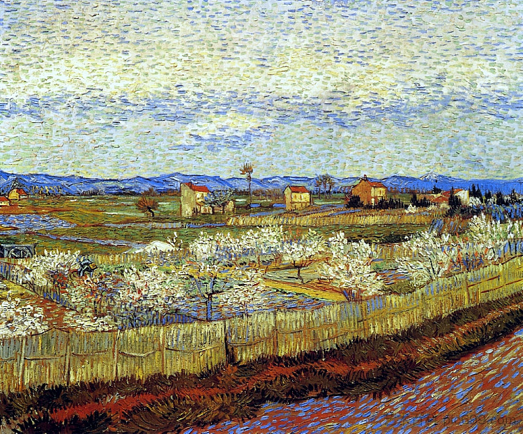 盛开的桃树 Peach Trees in Blossom (1889; France ),文森特·梵高