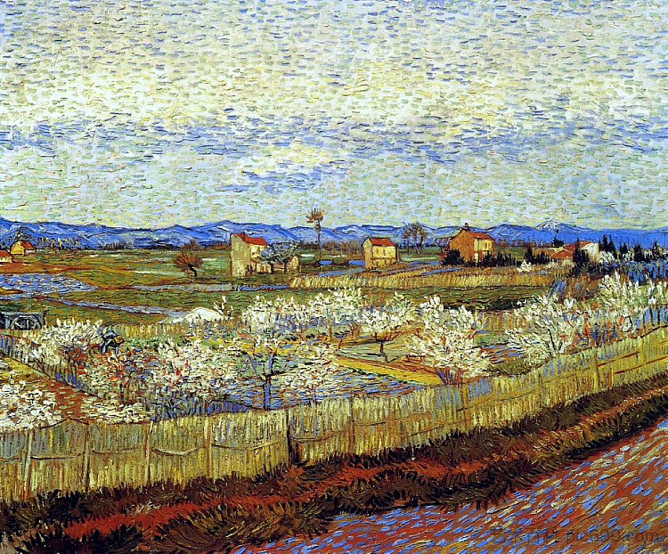 盛开的桃树 Peach Trees in Blossom (1889; France  )，文森特·梵高