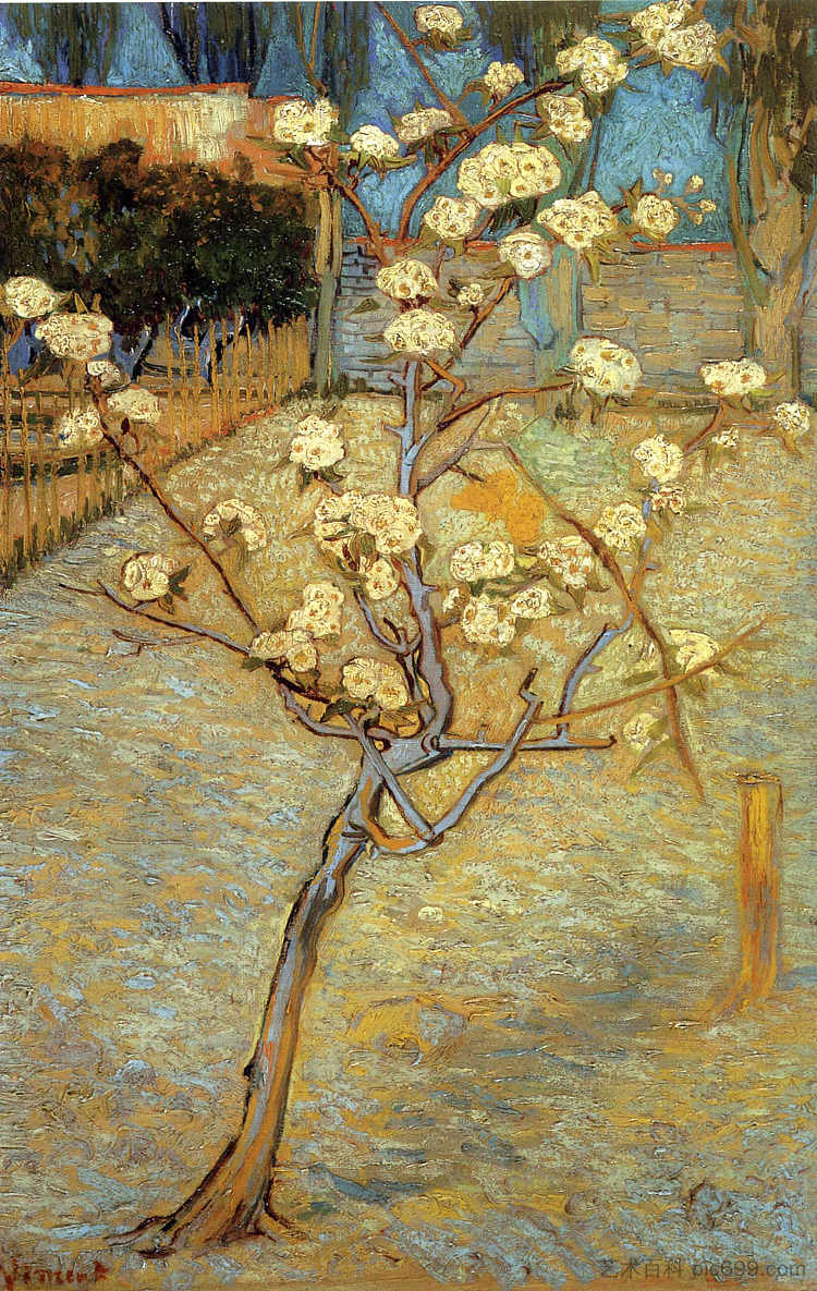 开花的梨树 Pear Tree in Blossom (1888; Arles,Bouches-du-Rhône,France  )，文森特·梵高