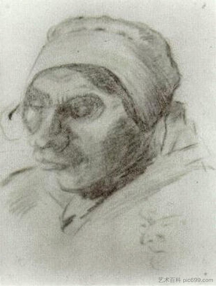 农妇，首领 Peasant Woman, Head (1884; Nunen / Nuenen,Netherlands  )，文森特·梵高