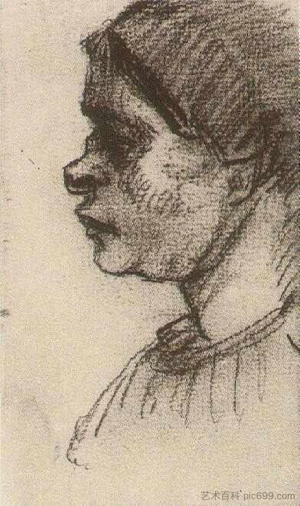 农妇，首领 Peasant Woman, Head (1885; Nunen / Nuenen,Netherlands  )，文森特·梵高