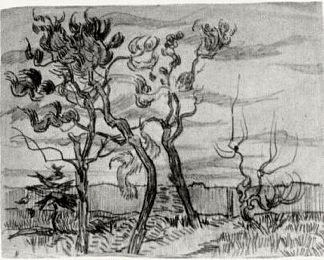 疯人院墙前的松树 Pine Trees in Front of the Wall of the Asylum (1889; Saint-rémy-de-provence,France                     )，文森特·梵高