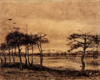 沼泽地里的松树 Pine Trees in the Fen (1884; Nunen / Nuenen,Netherlands                     )，文森特·梵高