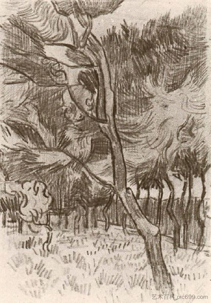 疯人院花园里的松树 Pine Trees in the Garden of the Asylum (1889; Saint-rémy-de-provence,France ),文森特·梵高