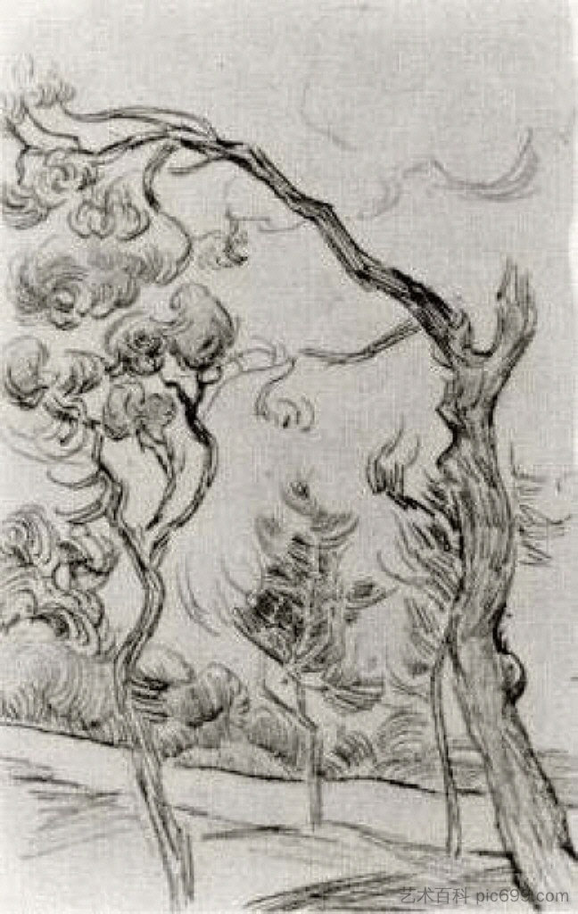 在疯人院的墙上看到的松树 Pine Trees Seen against the Wall of the Asylum (1889; Saint-rémy-de-provence,France ),文森特·梵高