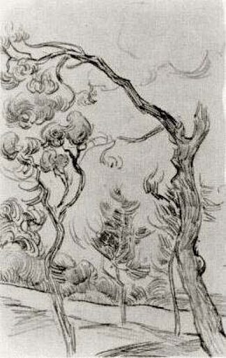 在疯人院的墙上看到的松树 Pine Trees Seen against the Wall of the Asylum (1889; Saint-rémy-de-provence,France                     )，文森特·梵高