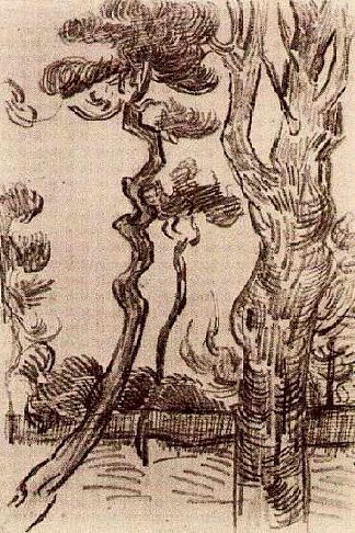 在疯人院的墙上看到的松树 Pine Trees Seen against the Wall of the Asylum (1889; Saint-rémy-de-provence,France                     )，文森特·梵高