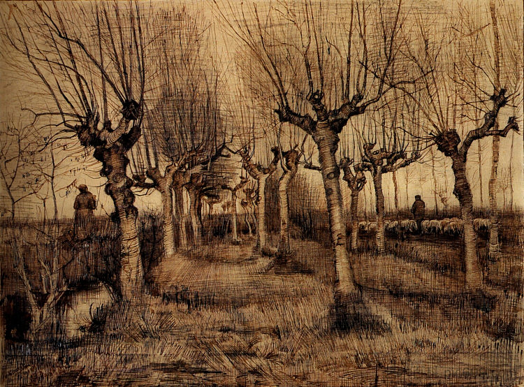 波拉德桦树 Pollard Birches (1884; Nunen / Nuenen,Netherlands  )，文森特·梵高