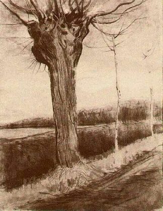 波拉德柳树 Pollard Willow (1881; Netherlands                     )，文森特·梵高