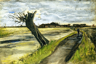 波拉德柳树 Pollard Willow (1882; Haag / Den Haag / La Haye / The Hague,Netherlands                     )，文森特·梵高