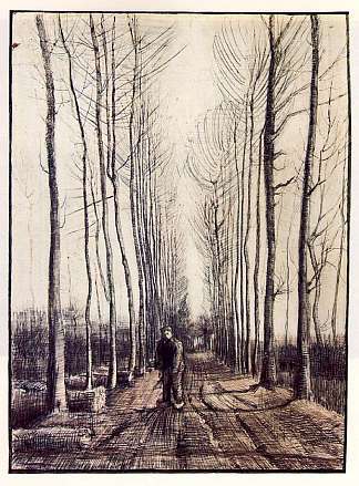 杨树 Poplar Trees (1884; Nunen / Nuenen,Netherlands                     )，文森特·梵高