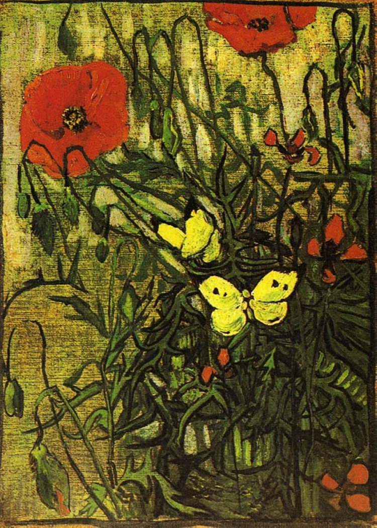 罂粟花和蝴蝶 Poppies and Butterflies (1890; Saint-rémy-de-provence,France  )，文森特·梵高