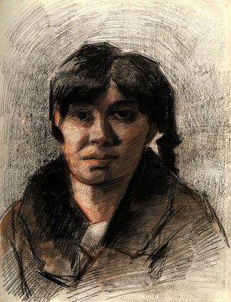 一个女人的肖像 Portrait of a Woman (1885; Antwerp,Belgium                     )，文森特·梵高