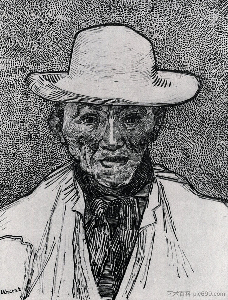 耐心埃斯卡利尔的肖像 Portrait of Patience Escalier (1888; Arles,Bouches-du-Rhône,France  )，文森特·梵高