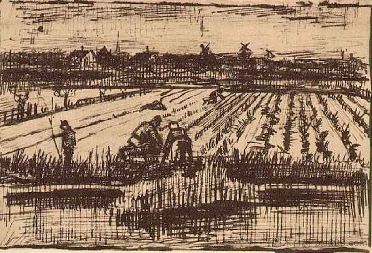 土豆领域 Potato Field (1882; Haag / Den Haag / La Haye / The Hague,Netherlands  )，文森特·梵高