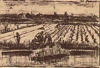 土豆领域 Potato Field (1882; Haag / Den Haag / La Haye / The Hague,Netherlands                     )，文森特·梵高