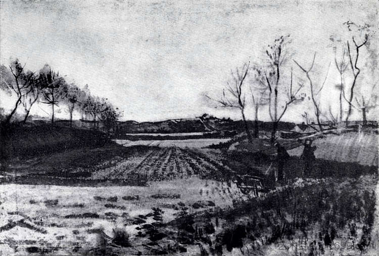 沙丘后面的马铃薯田 Potato field behind the dunes (1883; Netherlands  )，文森特·梵高