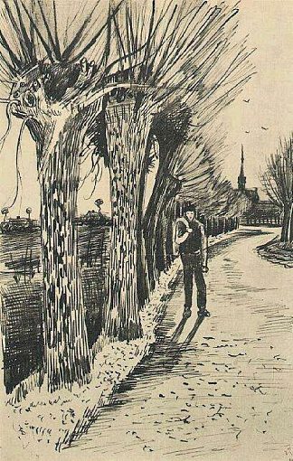 波拉德柳树路 Road with Pollard Willows (1881; Netherlands                     )，文森特·梵高