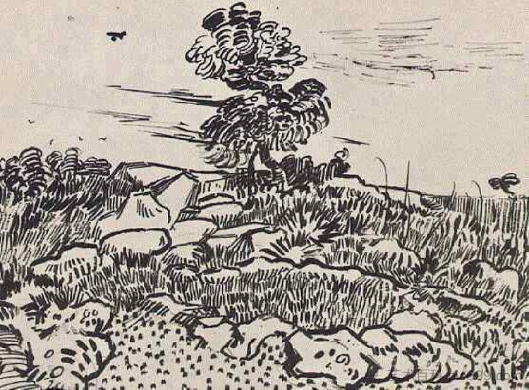 岩石与橡树 Rocks with Oak Tree (1888; Arles,Bouches-du-Rhône,France ),文森特·梵高