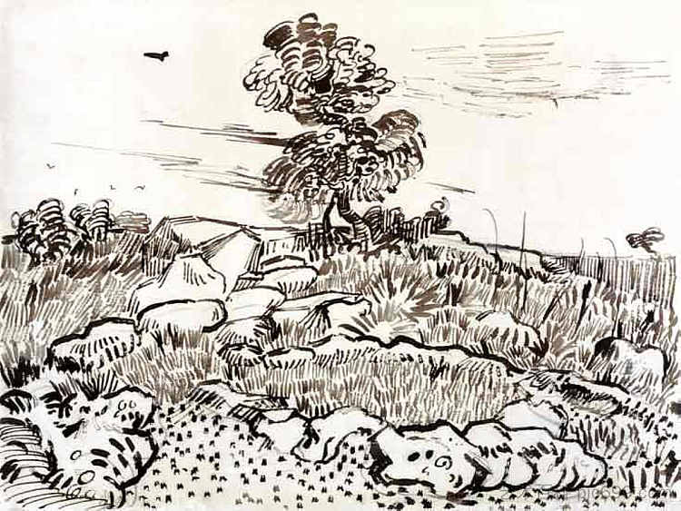 蒙马儒的岩石地面 Rocky Ground at Montmajour (c.1889; Arles,Bouches-du-Rhône,France  )，文森特·梵高