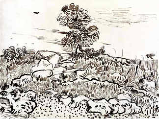 蒙马儒的岩石地面 Rocky Ground at Montmajour (c.1889; Arles,Bouches-du-Rhône,France                     )，文森特·梵高