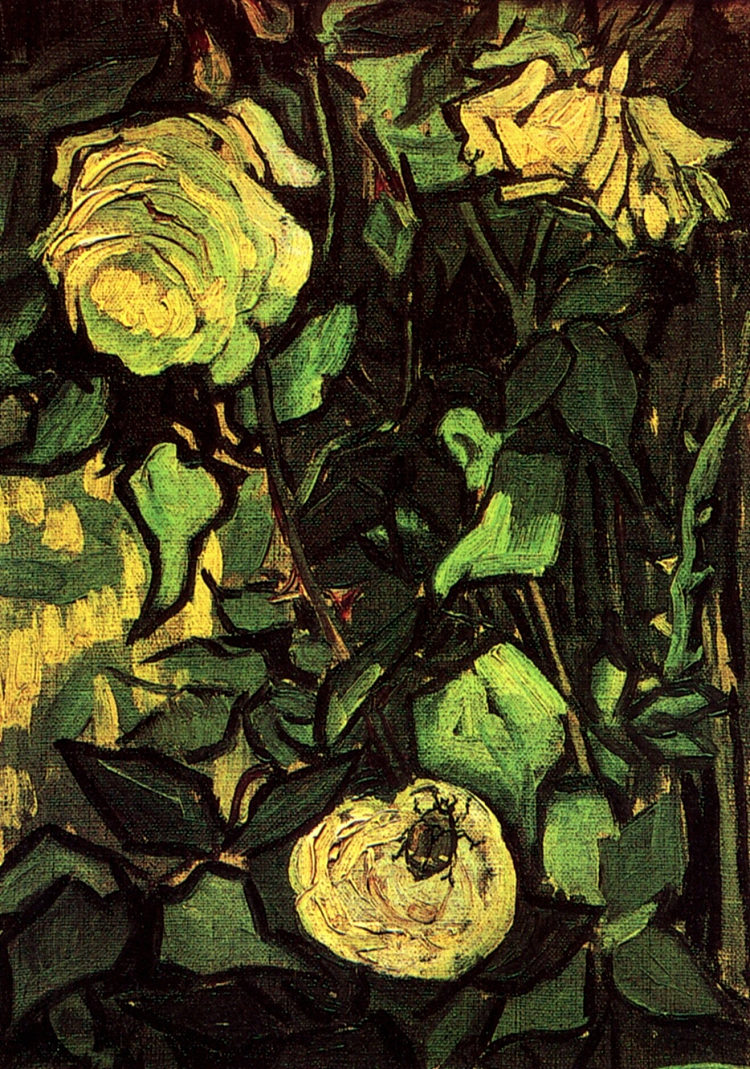 玫瑰和甲虫 Roses and Beetle (1890; Saint-rémy-de-provence,France  )，文森特·梵高