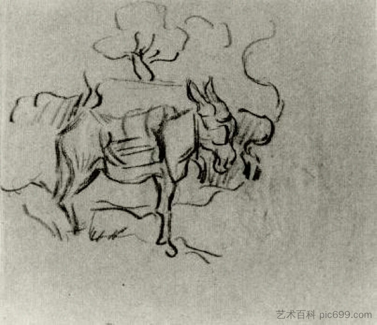 驴的素描 Sketch of a Donkey (1890; Auvers-sur-oise,France  )，文森特·梵高