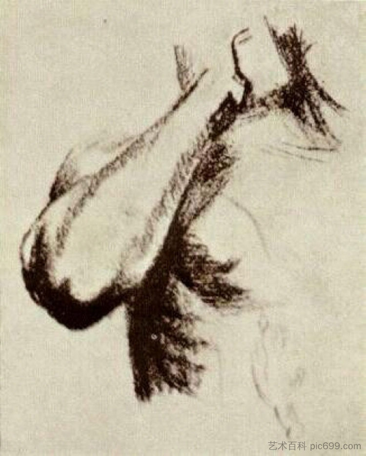 Sketch of a Right Arm and Shoulder Sketch of a Right Arm and Shoulder (1886; Antwerp,Belgium  )，文森特·梵高